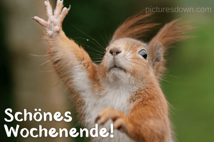 schönes wochenende lustig bilder kostenlos