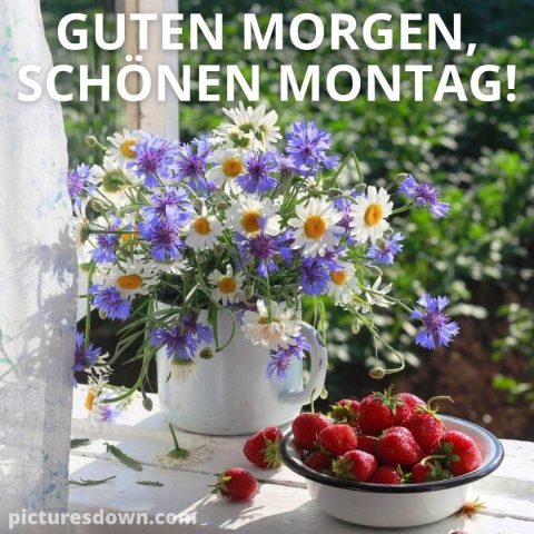 Schönen montag bild Erdbeere kostenlos herunterladen