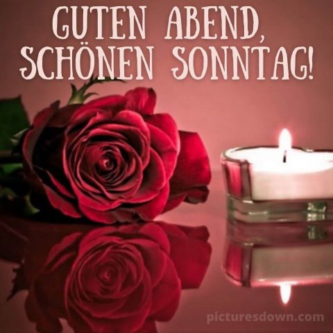Guten abend schönen sonntag bild Rosen und Kerze kostenlos herunterladen