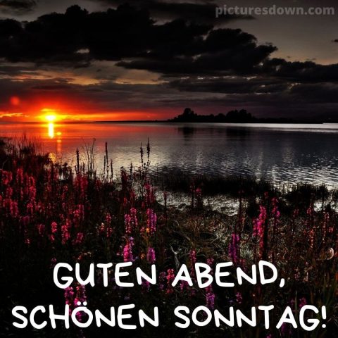 Guten abend schönen sonntag bild Sonnenuntergang am Fluss kostenlos herunterladen