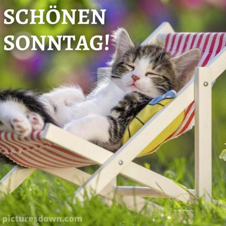 Spannende Schnen Sonntag Lustig Kostenlos Bilder