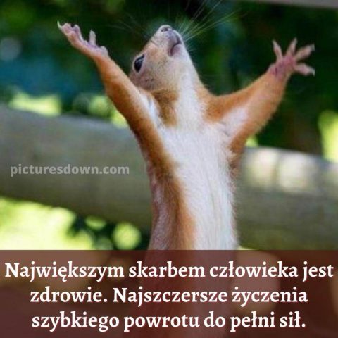 Szybkiego powrotu do zdrowia kartka krzycząca wiewiórka do pobrania za darmo