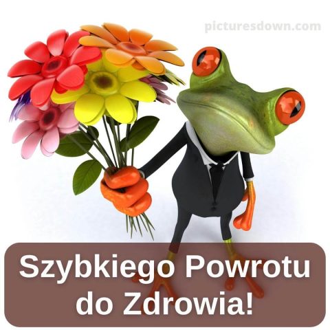 Szybkiego powrotu do zdrowia kartka żaba do pobrania za darmo