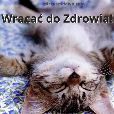 Szybkiego powrotu do zdrowia kartka śpiący kot do pobrania za darmo