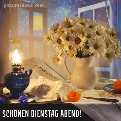 Dienstag abend bild Kamille kostenlos herunterladen