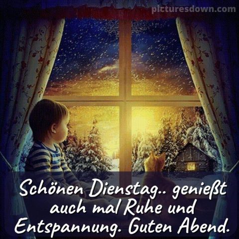 Dienstag abend bild Junge und Katze kostenlos - picturesdown.com