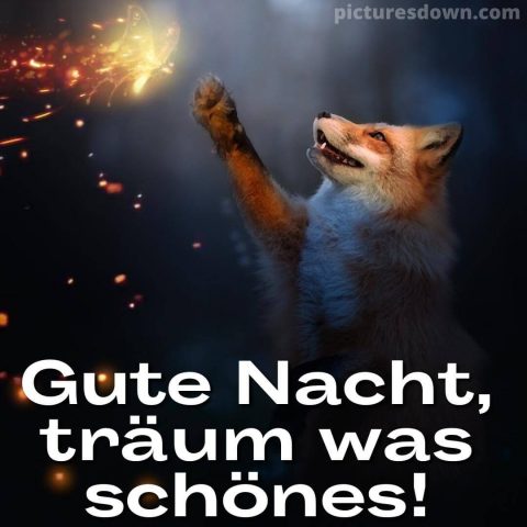 Gute nacht dienstag bild Fuchs kostenlos herunterladen