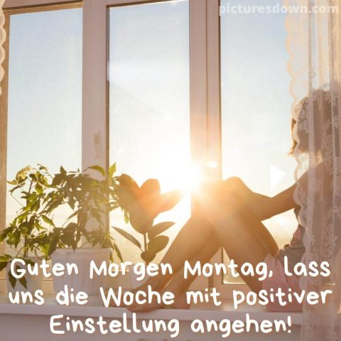Montag guten morgen grüße bild Fenster kostenlos herunterladen