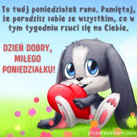 Dzień dobry w poniedziałek kartka zając do pobrania za darmo