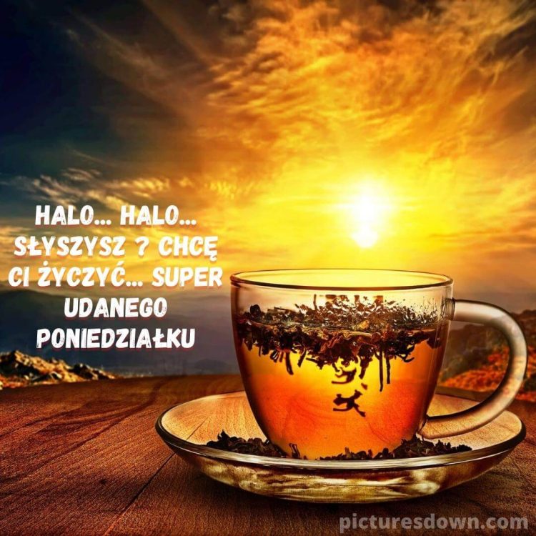 Kartka pozdrowienia na poniedziałek dzień dobry herbata i wschód słońca do pobrania za darmo