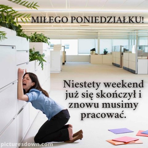 Kartka dzień dobry w poniedziałek śmieszne biuro do pobrania za darmo