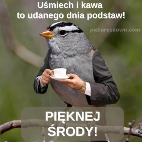 Kartka kawa na dzień dobry na środę wróbel do pobrania za darmo