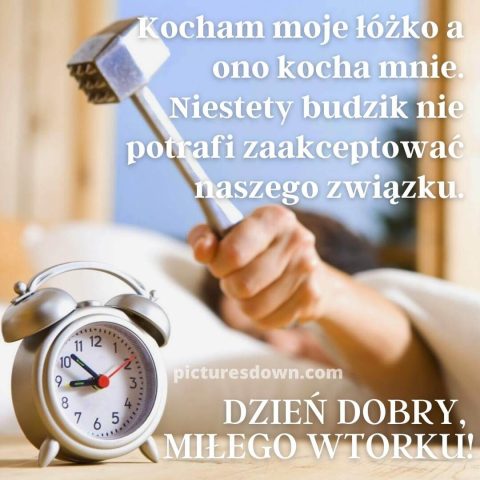 Obrazek dzień dobry we wtorek śmieszne alarm do pobrania za darmo