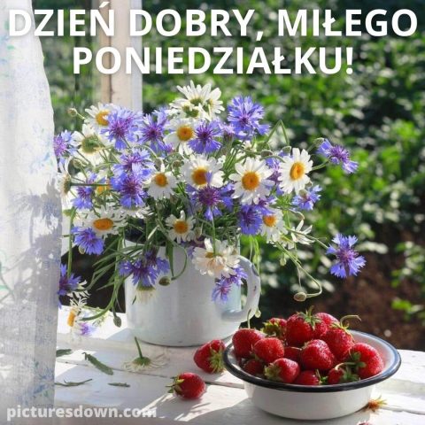 Obrazek na poniedziałek Truskawka do pobrania za darmo