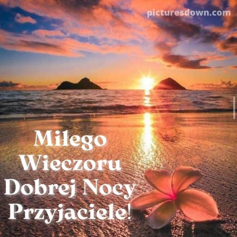 Kartka miłego wieczoru wtorku i dobrej nocy ocean i kwiat do pobrania za darmo
