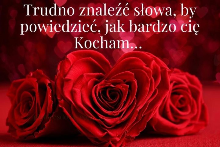 Kartka miłosne kocham cie z obrazem "Czerwona róża" do pobrania za darmo
