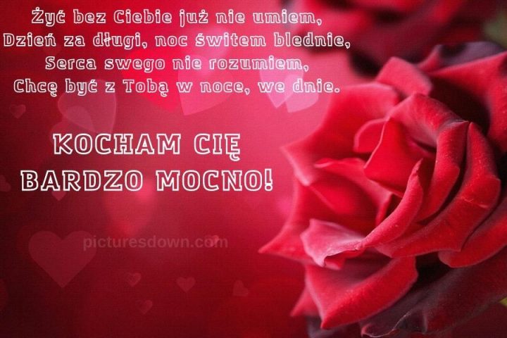 Kartka miłosne kocham cie z obrazem "piękna róża" do pobrania za darmo