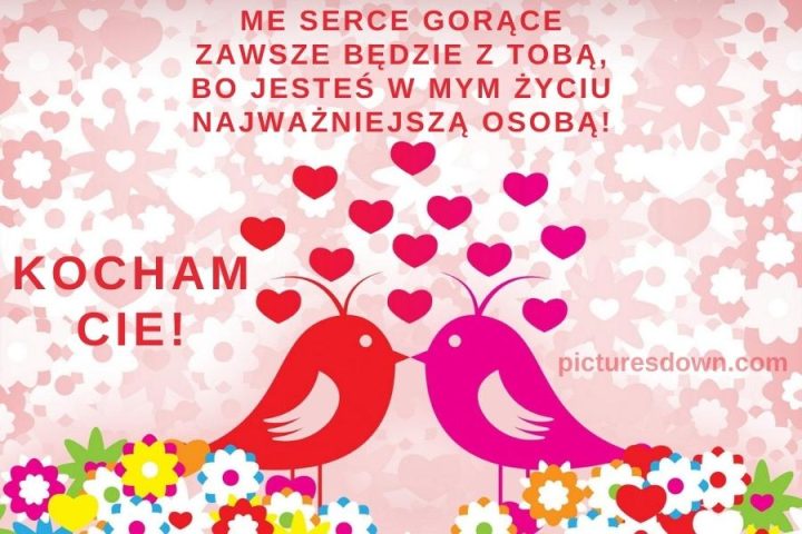 Kartka miłosne kocham cie z obrazem "ptaki" do pobrania za darmo