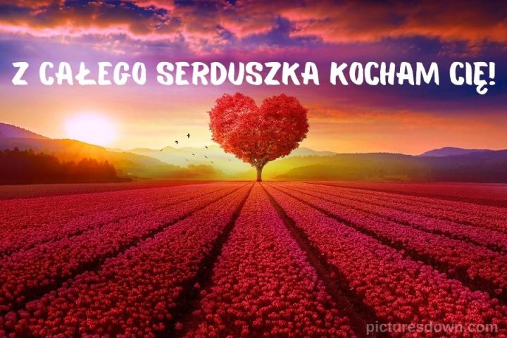 Kartka miłosne kocham cie z obrazem "drzewo" do pobrania za darmo