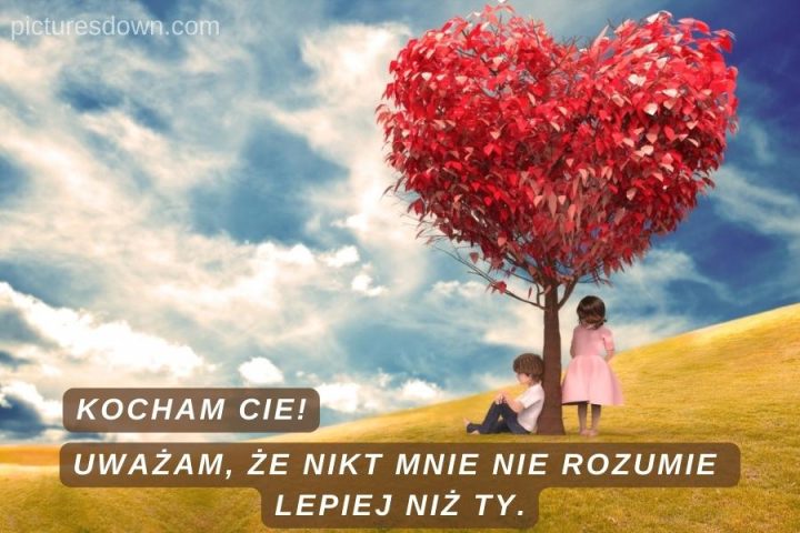 Kartka miłosne kocham cie z obrazem "drzewo w kształcie serca" do pobrania za darmo