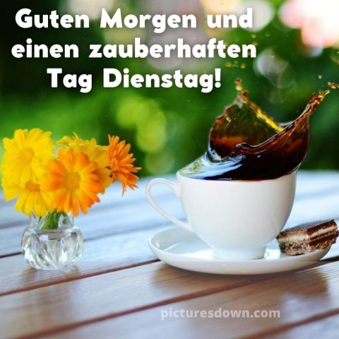 Blume kaffee guten morgen dienstag bild Kamille kostenlos herunterladen