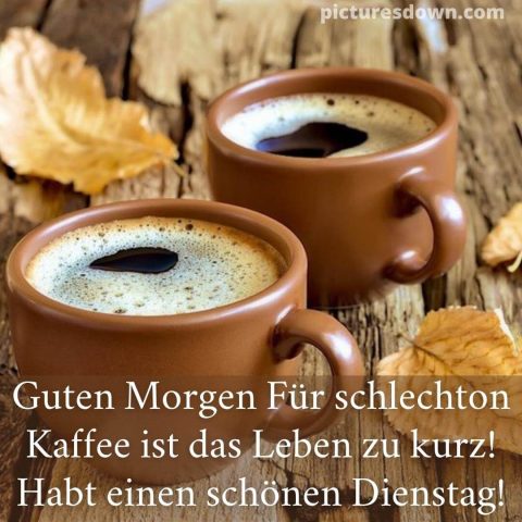 Schönen dienstag kaffee bild Herbstblätter kostenlos herunterladen