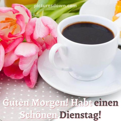 Blume kaffee guten morgen dienstag bild Tulpen kostenlos herunterladen