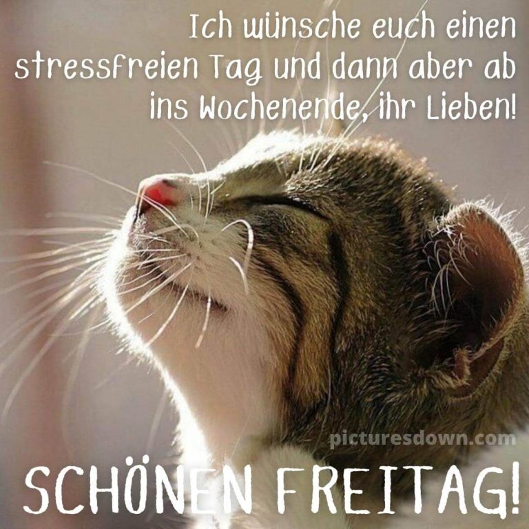 Wunderschne Freitag Morgen Sprche Bild