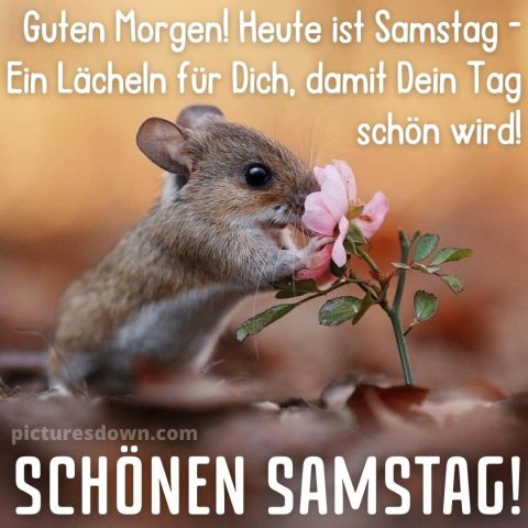 Schönen samstag bild Maus kostenlos