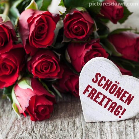 Herz schönen freitag bild rote Rosen kostenlos