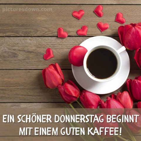 Kaffee guten morgen donnerstag bild rote Tulpen kostenlos herunterladen