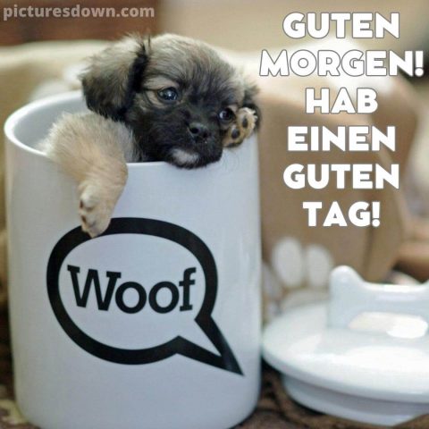 Kaffee guten morgen samstag bild Hündchen kostenlos