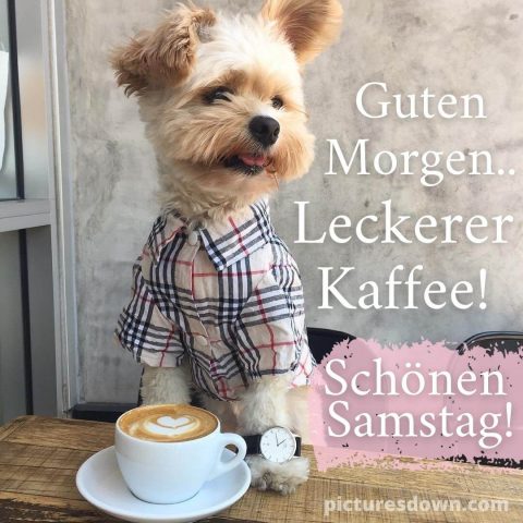 Schönen samstag kaffee bild Hund kostenlos