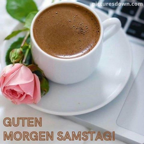 Kaffee guten morgen samstag bild Rosette kostenlos
