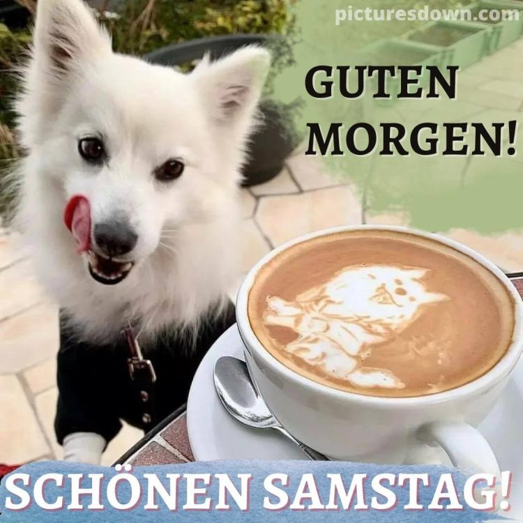 Schönen samstag kaffee bild weißer Hund kostenlos