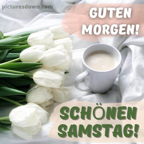 Kaffee guten morgen samstag bild weiße Tulpen kostenlos