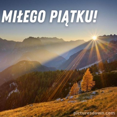 Kartka dzień dobry w piątek wschód słońca do pobrania za darmo