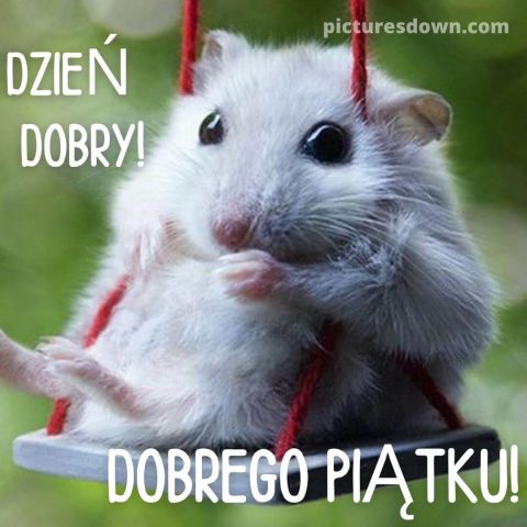 Kartka dzień dobry w piątek mysz na huśtawce do pobrania za darmo