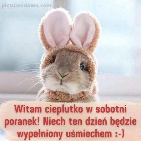 Kartka na sobotę dzień dobry królik za darmo