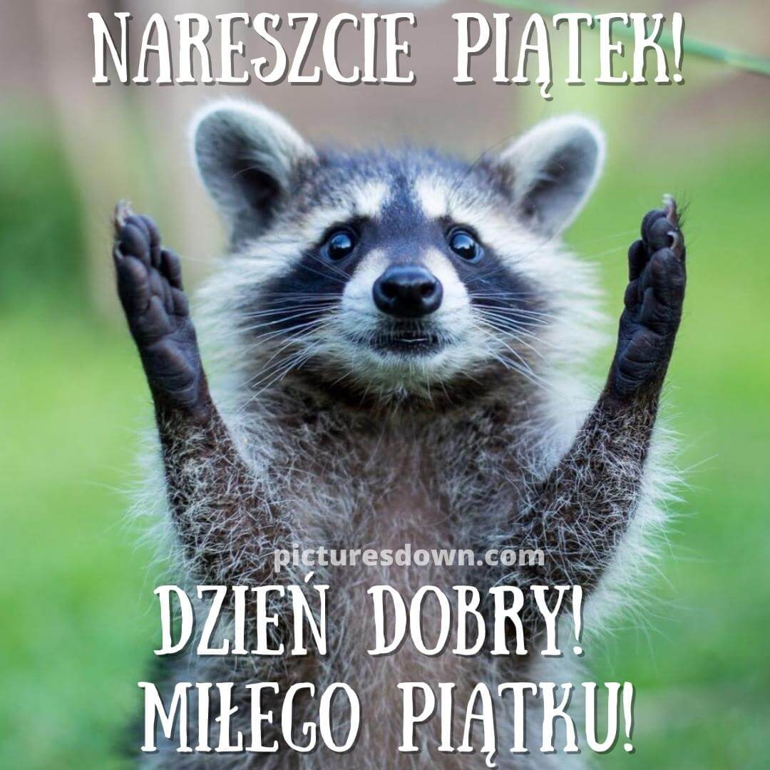 śmieszne kartki na piątek