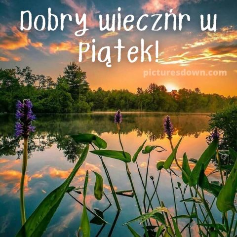 Kartka miłego wieczoru piątku i dobrej nocy jezioro do pobrania za darmo