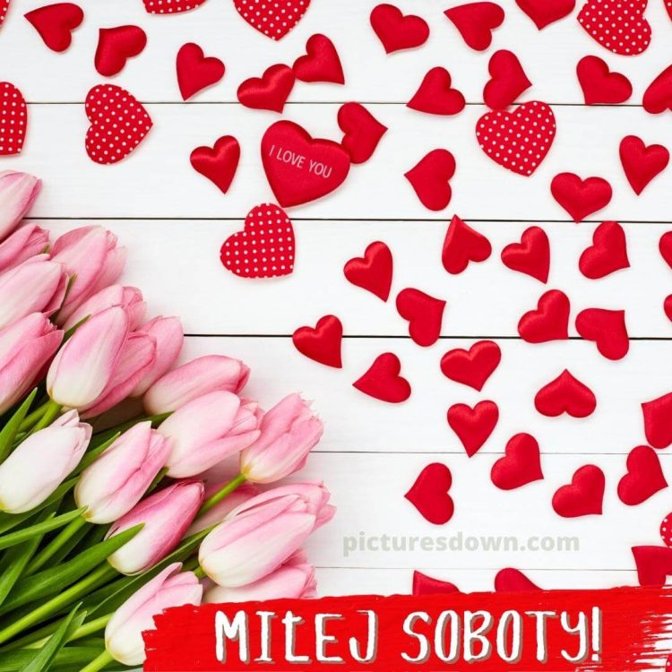 Kartka miłosne kocham cie na sobotę różowe tulipany za darmo