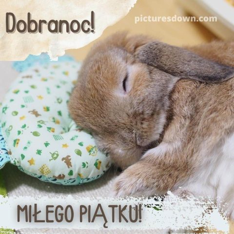 Obrazek spokojnej nocy w piątek Królik do pobrania za darmo