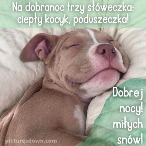 Kartka na dobranoc na piątek pies do pobrania za darmo