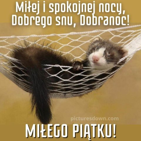 Obrazek spokojnej nocy w piątek łasica do pobrania za darmo