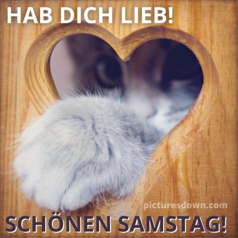 Liebe guten morgen samstag bild Katze kostenlos