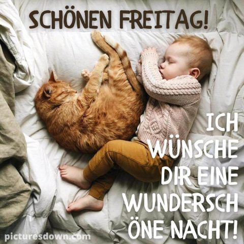 Schönen freitag abend und später eine gute nacht bild Kind und Katze kostenlos