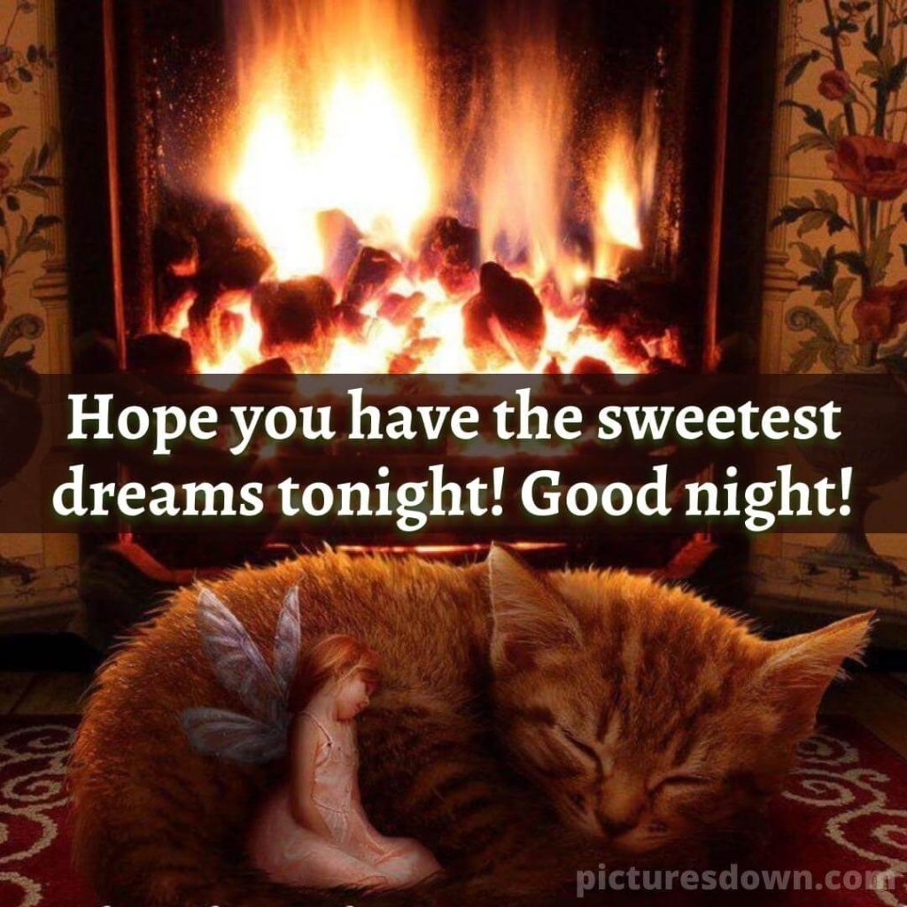 Good night monday image cat by the fireplace free