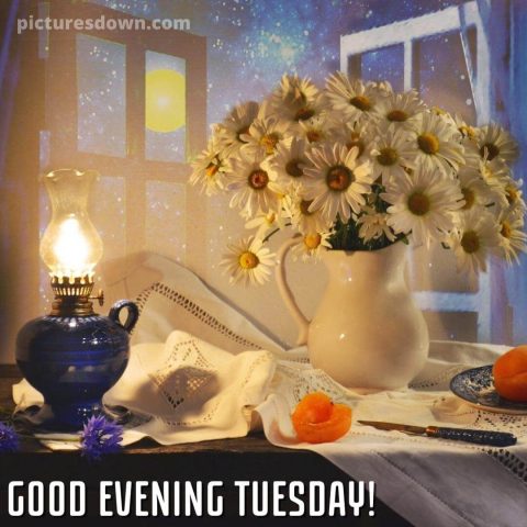 Good evening tuesday image chamomile free download