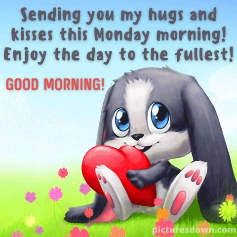 Good morning monday love heart bunny free download